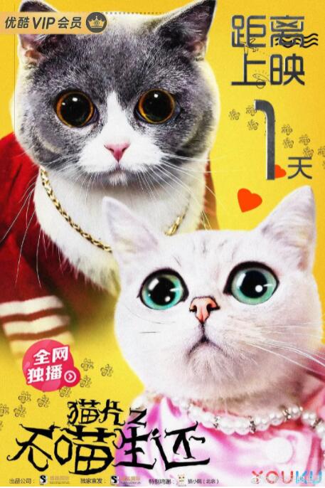 猫片之无喵生还_卡司阵容_德厚爱影-影视介绍